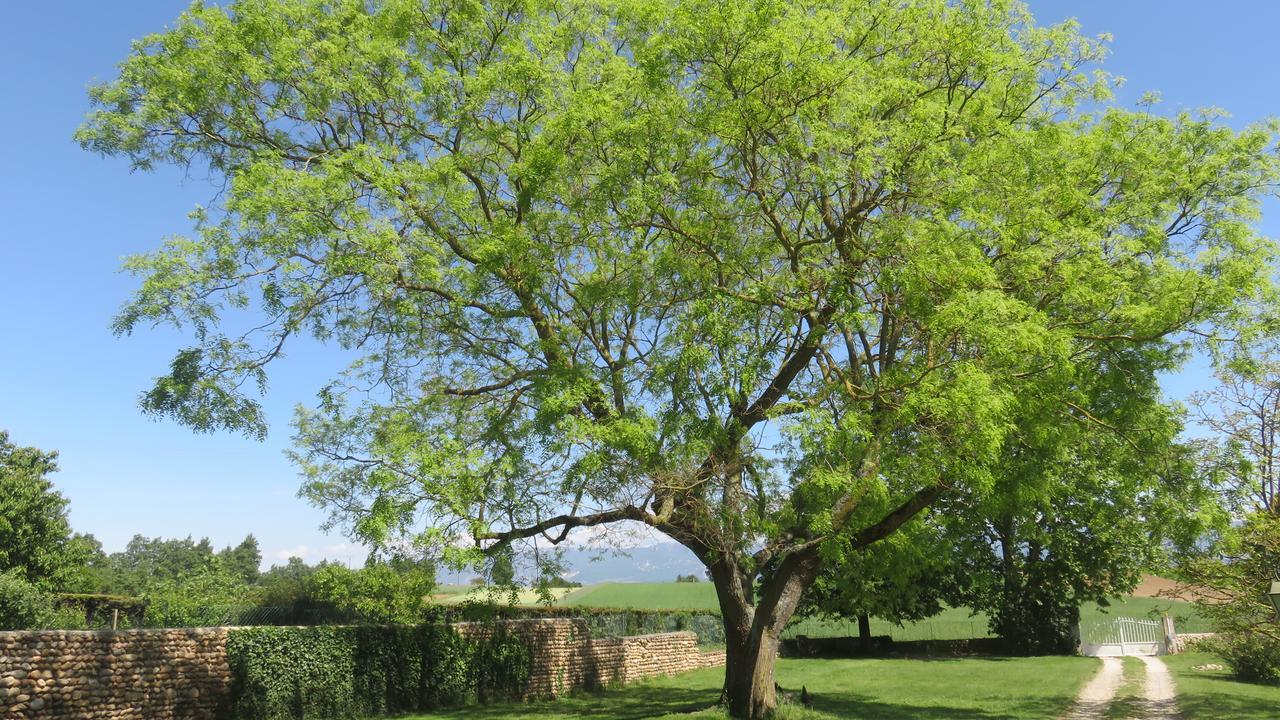 A La Belle Histoire Bed and Breakfast Chateauneuf-sur-Isere Buitenkant foto