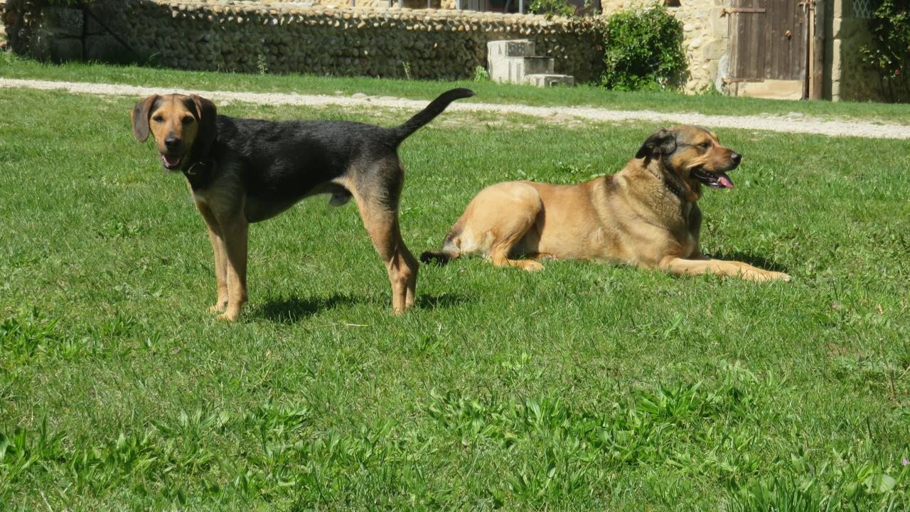 A La Belle Histoire Bed and Breakfast Chateauneuf-sur-Isere Buitenkant foto